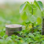 Investing in Sustainable and Ethical Funds